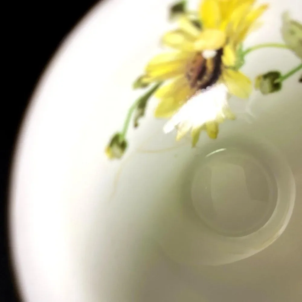 Vintage Mitterteich Bavaria Brown Eyed Susan Gold Trim Bone China Teacup